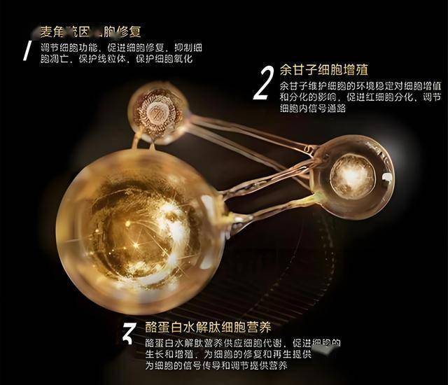 xm外汇平台账号注册京津冀三地市场监管部门协同创新优化营商生态 公司“只跑一次”即可办完跨省迁移